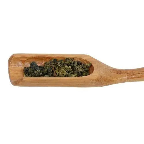 Bamboo tea spoon scooping loose leaf green tea from tin