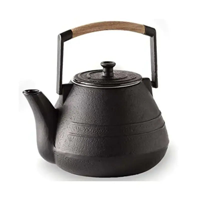 Cast iron teapot with stainless steel strainer and cool handle