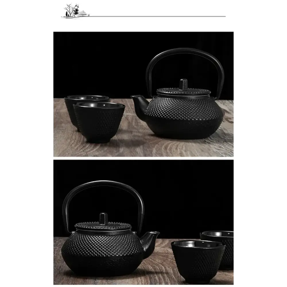 Cast iron teapot 300ml for tea lovers