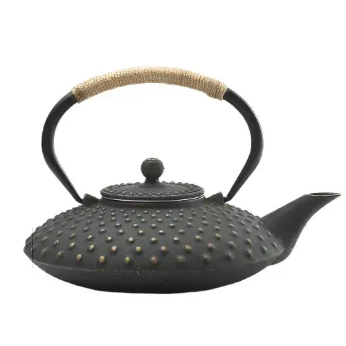 Cast iron teapot with enamel interior
