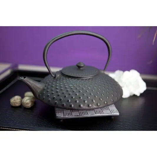 Retro Japanese style cast iron teapot