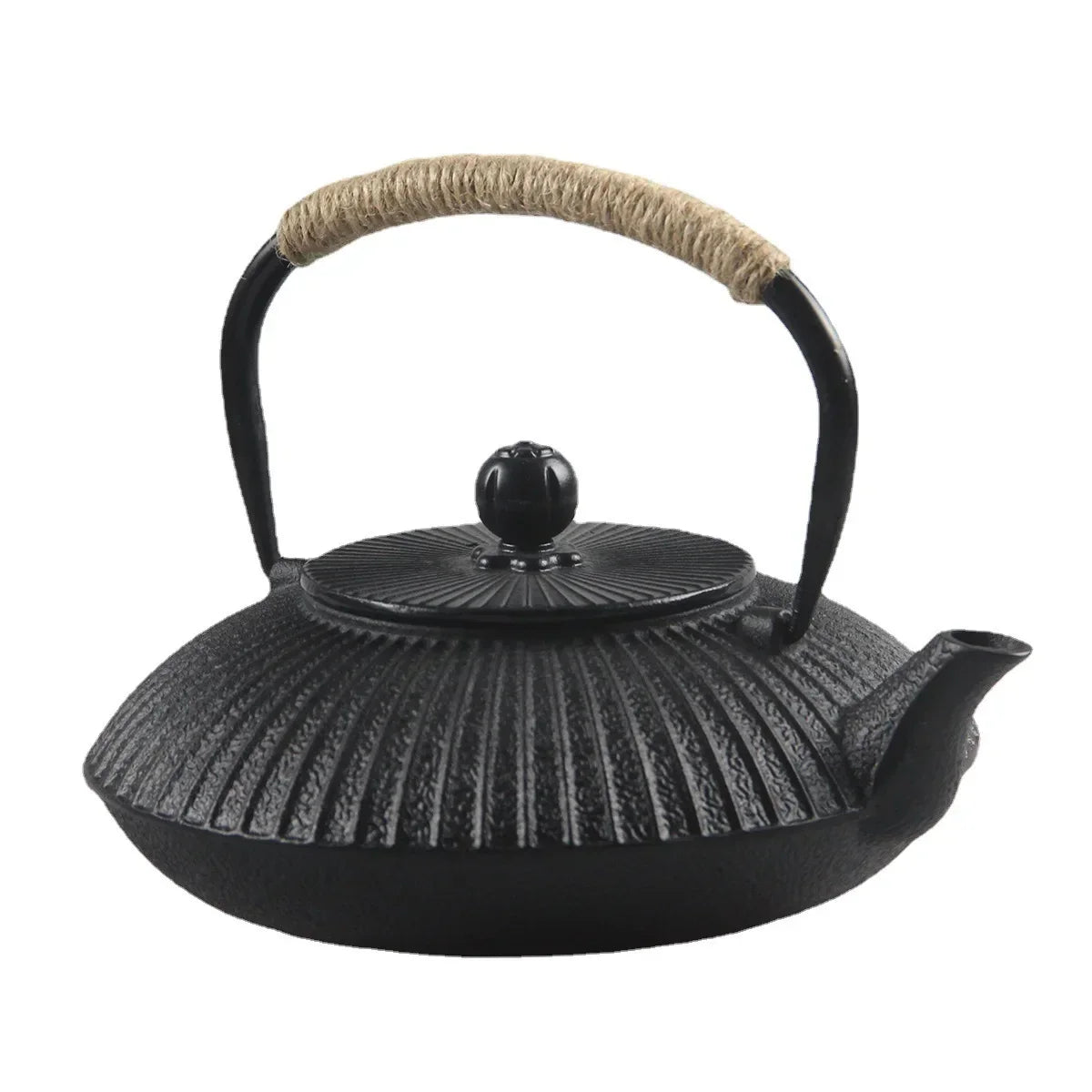 Flat tetsubin cast iron teapot in black, side view showing low-profile silhouette