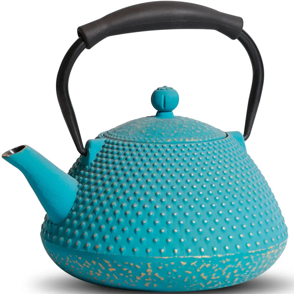 Turquoise cast iron teapot with lid and spout