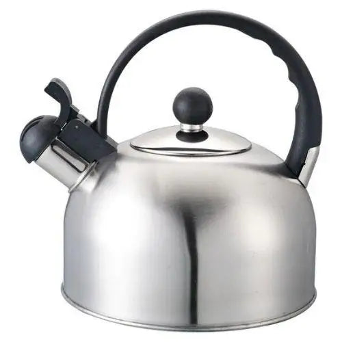 Vintage stainless steel whistling teapot with retro design