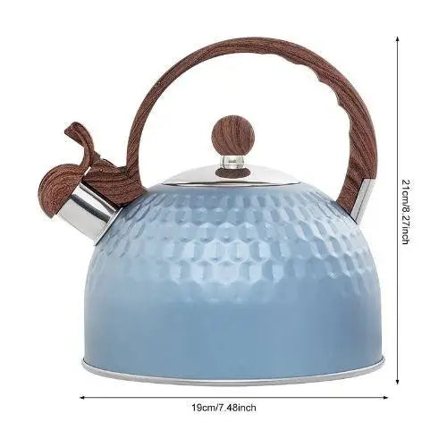 Blue whistling kettle showing 2.5 liter size
