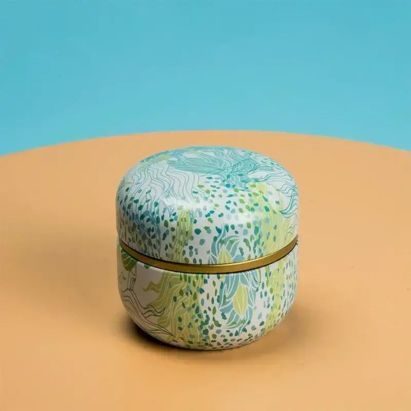 Cast iron tea caddy design 6