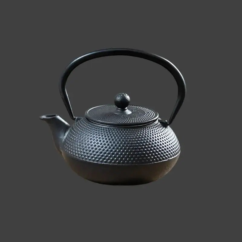 Small 300ml cast iron teapot for one person, solo brewing on induction