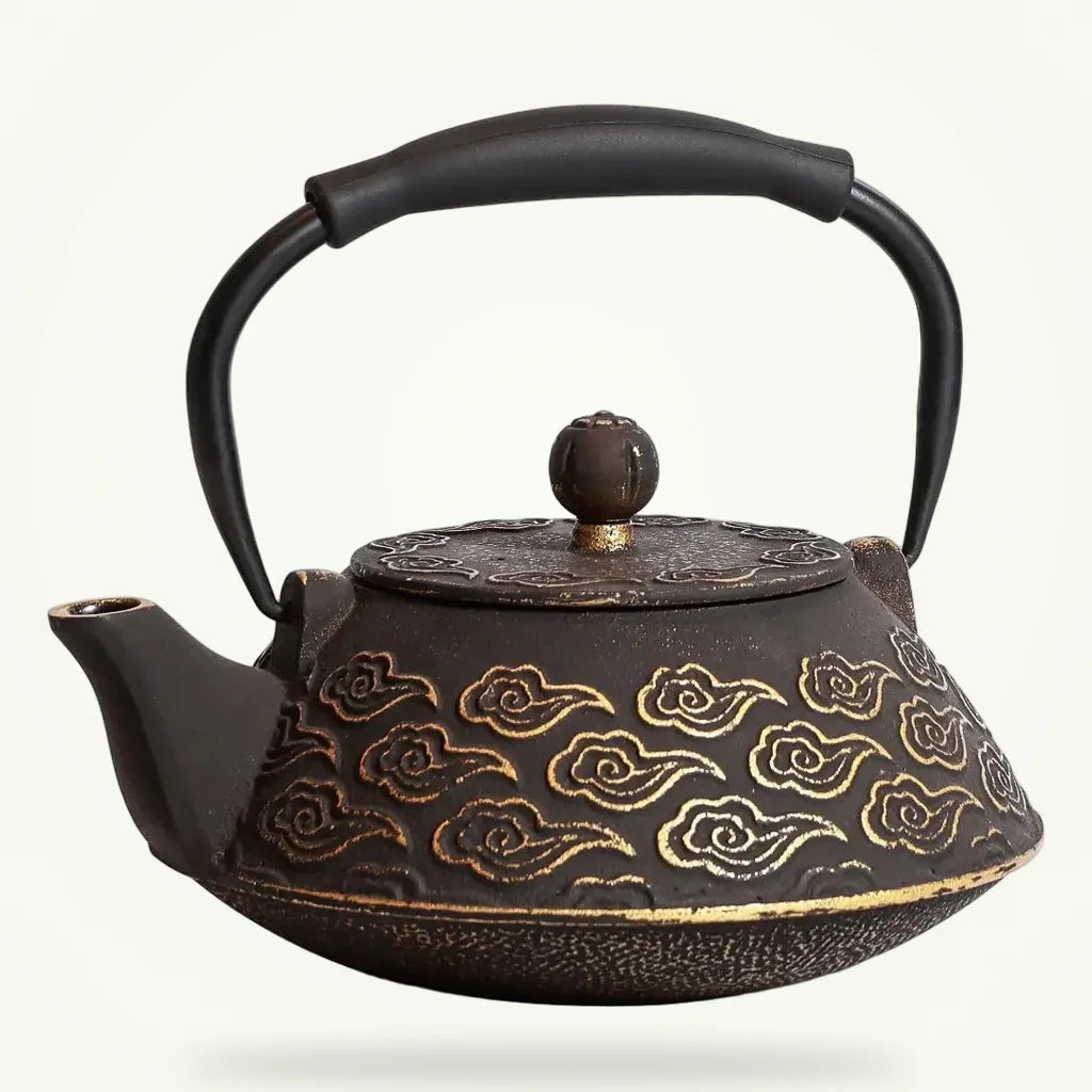 Cast Iron Teapot with Infuser, Handmade Japanese Style Teapot, product photo on a plain background