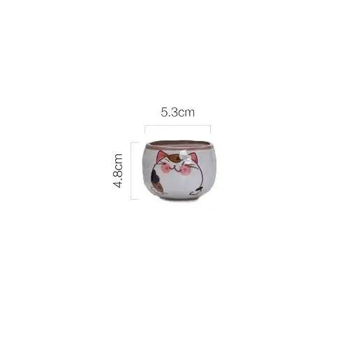 Cat teapot with glass