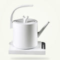 Electric Teapot with Temperature Control