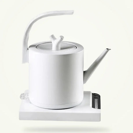 Electric Teapot with Temperature Control