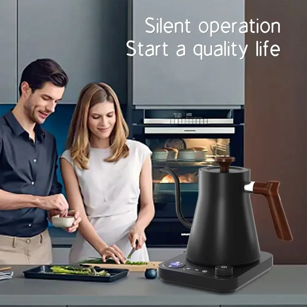 0.9-liter gooseneck tea kettle, sleek profile, temperature control feature visible
