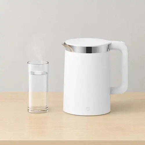 Electric kettle with temperature control on kitchen counter