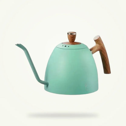 Green gooseneck tea kettle in stainless steel, packshot on plain background