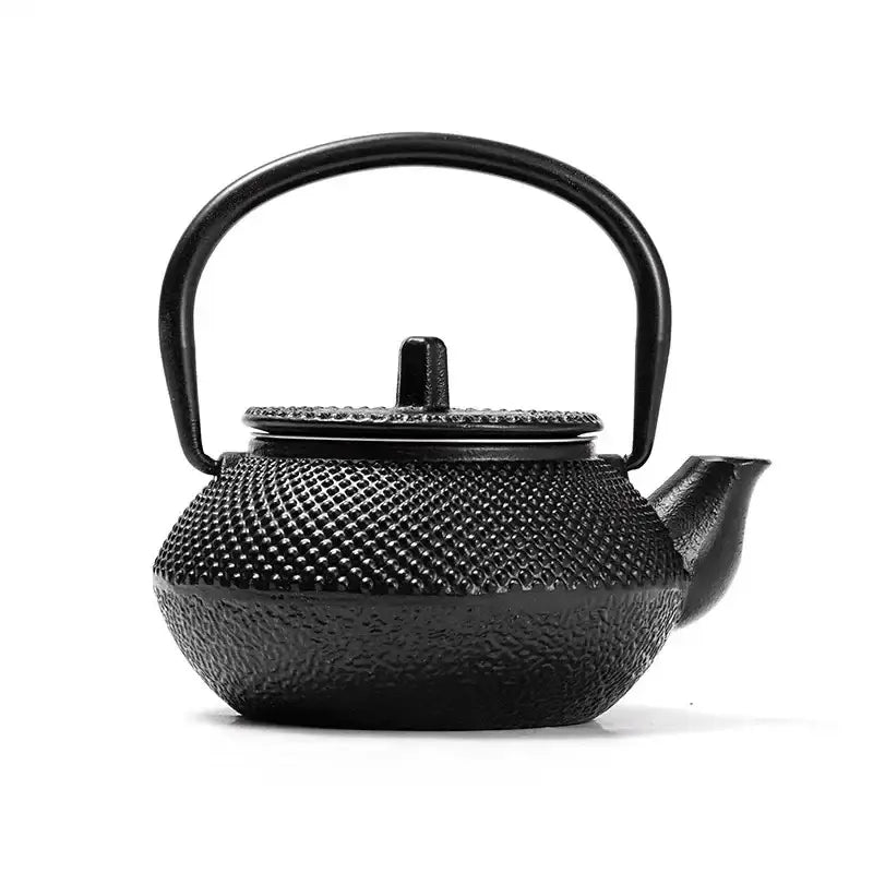 Traditional Japanese cast iron teapot with textured exterior finish, detail shot
