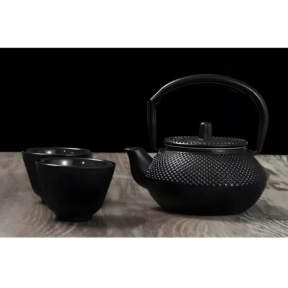 Nambu tekki style Japanese cast iron teapot with lid and infuser, top view