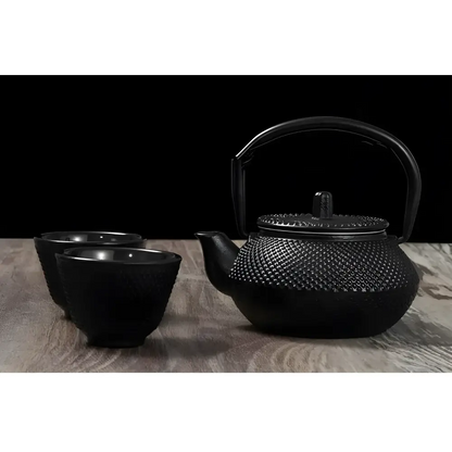 Nambu tekki style Japanese cast iron teapot with lid and infuser, top view
