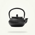 Japanese Cast Iron Teapot 300ml with Infuser