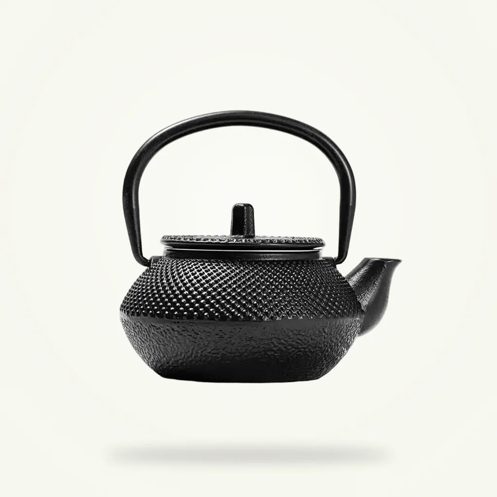 Japanese cast iron teapot 300ml with removable stainless steel infuser, full product view