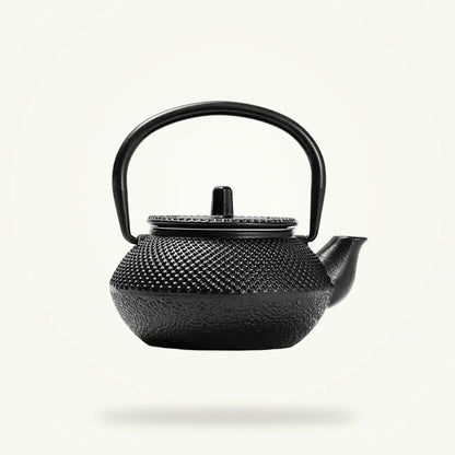 Japanese cast iron teapot 300ml with removable stainless steel infuser, full product view