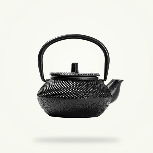 Japanese cast iron teapot 300ml with removable stainless steel infuser, full product view