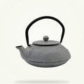 Japanese Cast Iron Teapot 500ml White Enamel Interior