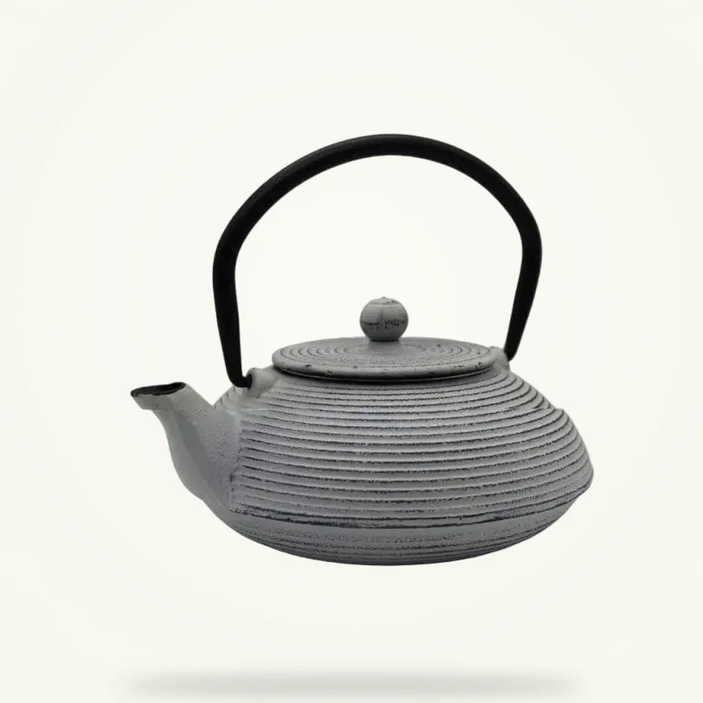 Japanese Cast Iron Teapot 500ml White Enamel Interior, product photo on a plain background