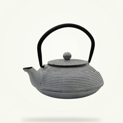 Japanese Cast Iron Teapot 500ml White Enamel Interior, product photo on a plain background