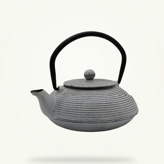 Japanese Cast Iron Teapot 500ml White Enamel Interior, product photo on a plain background
