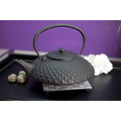Retro Japanese style cast iron teapot