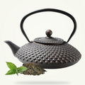 Japanese Cast Iron Teapot 900ml Enamel Coated