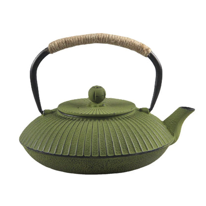Gray cast iron flat tetsubin teapot with rope handle, side profile on neutral background