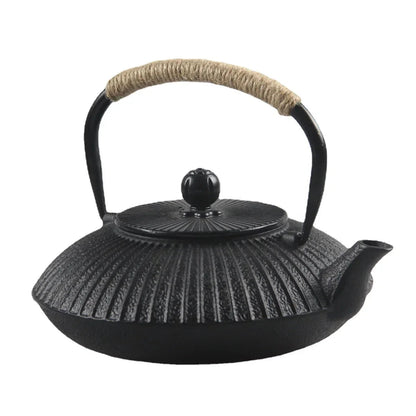 Flat tetsubin cast iron teapot in black, side view showing low-profile silhouette