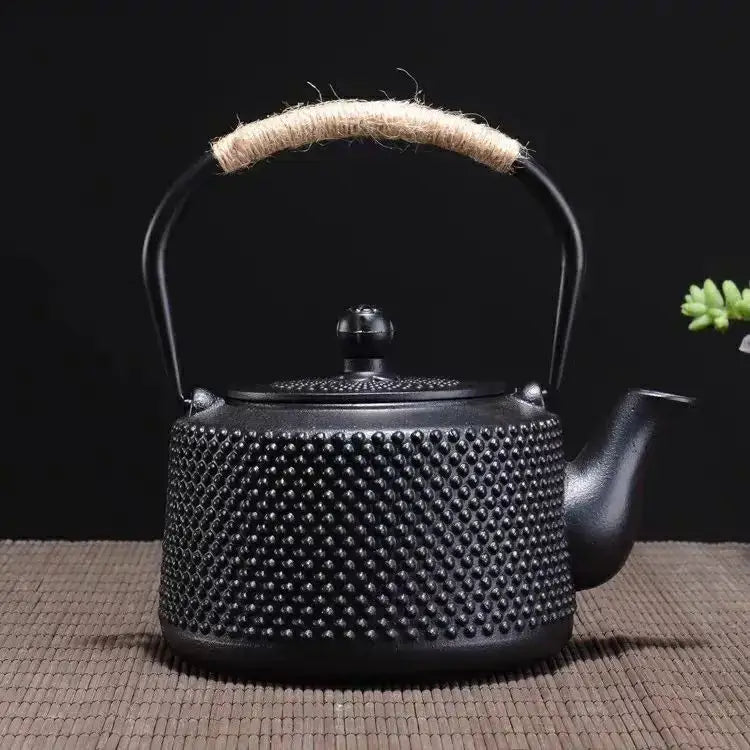 Japanese enamel-coated cast iron teapot side view showing handle and spout detail