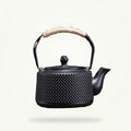 Japanese Cast Iron Teapot with Enamel Coating - 800ml