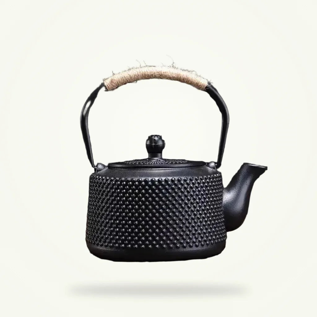 Japanese cast iron teapot 800ml with enamel coating, full product view on plain background