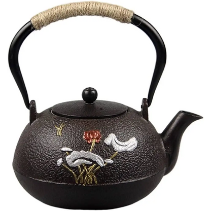 Small cast iron teapot for one person