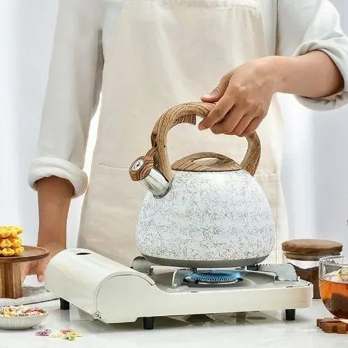 Modern teapot on gas stove burner