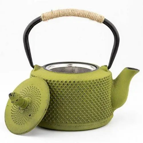 Japanese cast iron teapot in moss green shown from the side