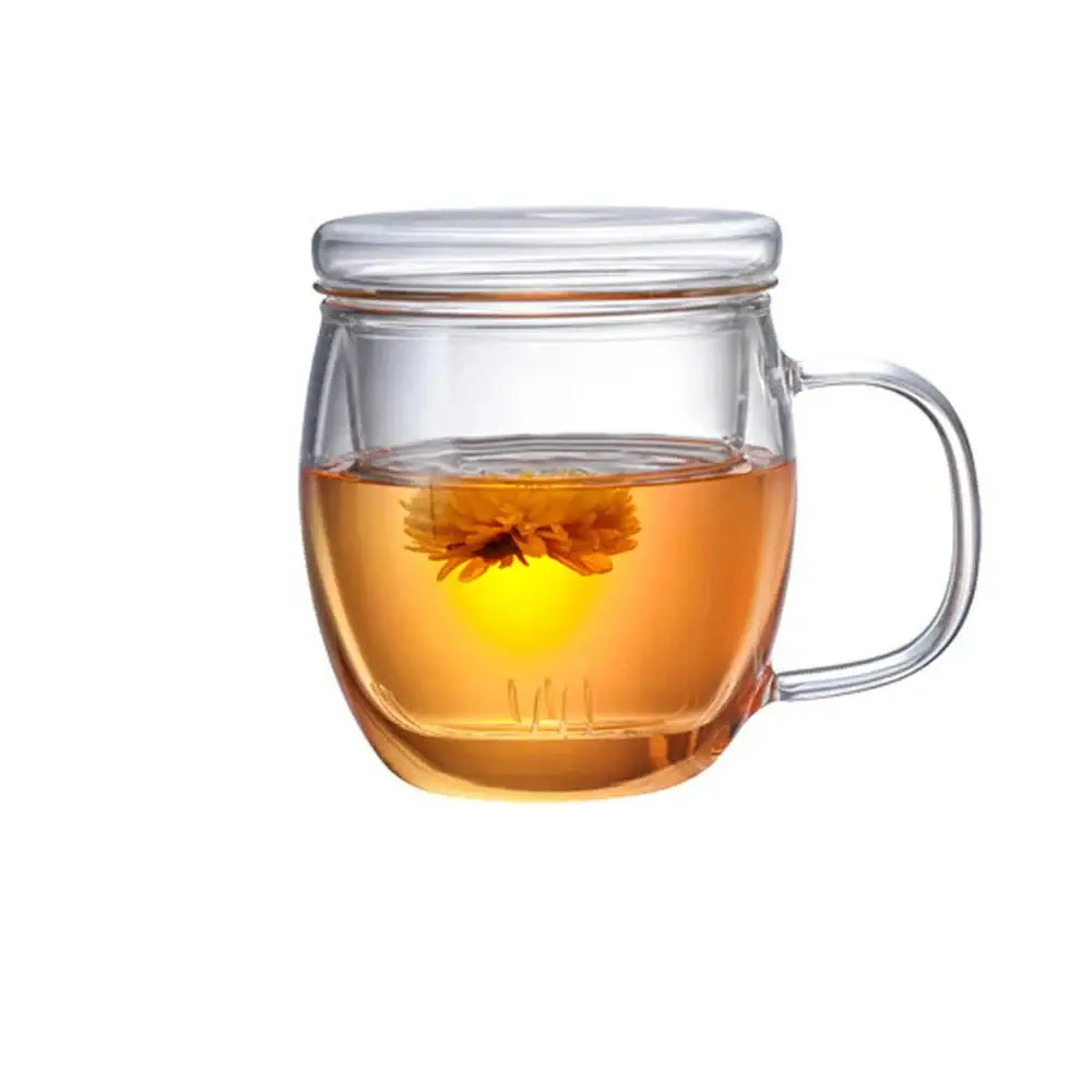 small-glass-teapot-with-removable-infuser-for-loose-leaf-tea 500 ml