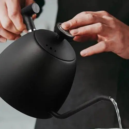 Gooseneck kettle with temperature control on stove