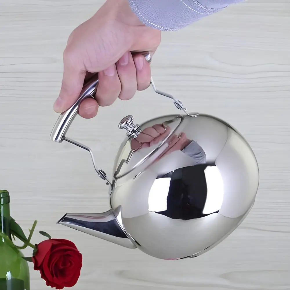 Side view of stainless steel loose-leaf teapot showing spout and handle