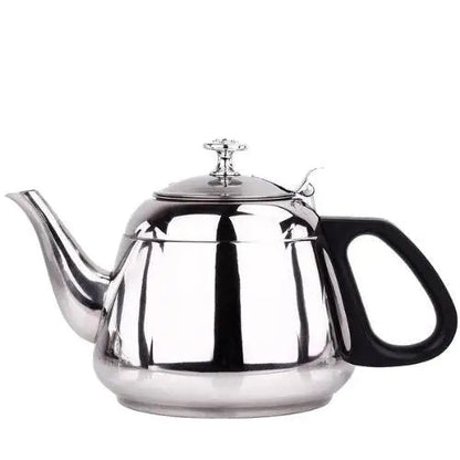 Stainless steel teapot with built-in filter on white background