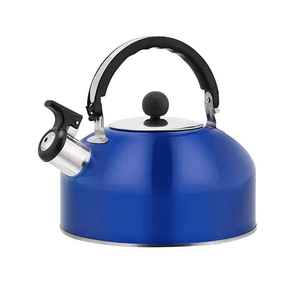 Blue stainless steel travel teapot with folding handle for outdoor use