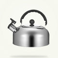 Stainless Steel Travel Teapot with Folding Handle