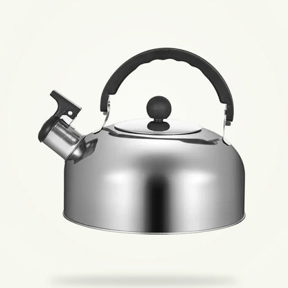 Stainless steel travel teapot with folding handle, silver, product shot