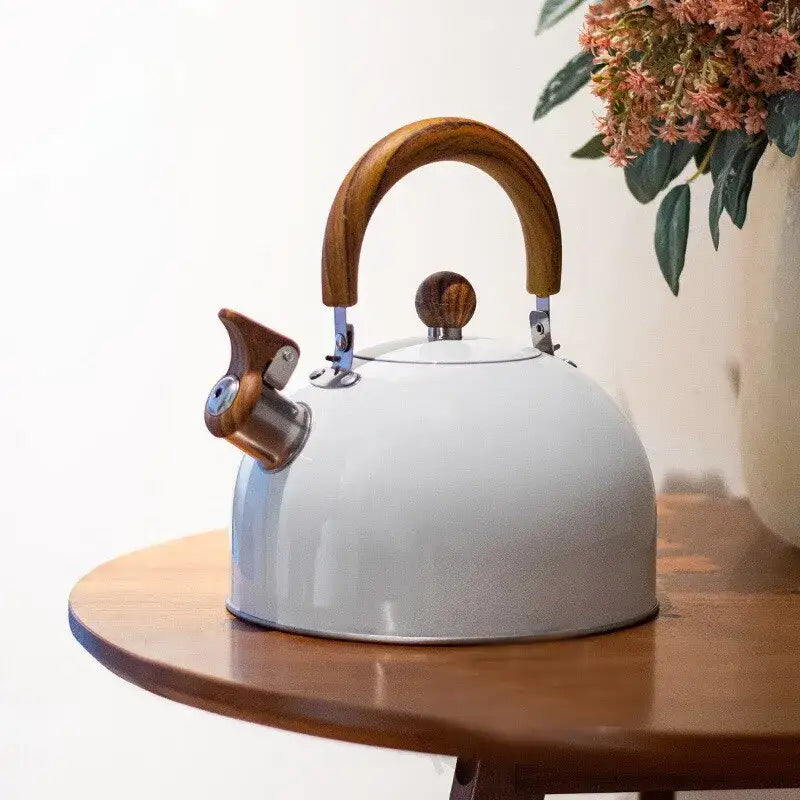 Stainless steel whistling teapot on stove top