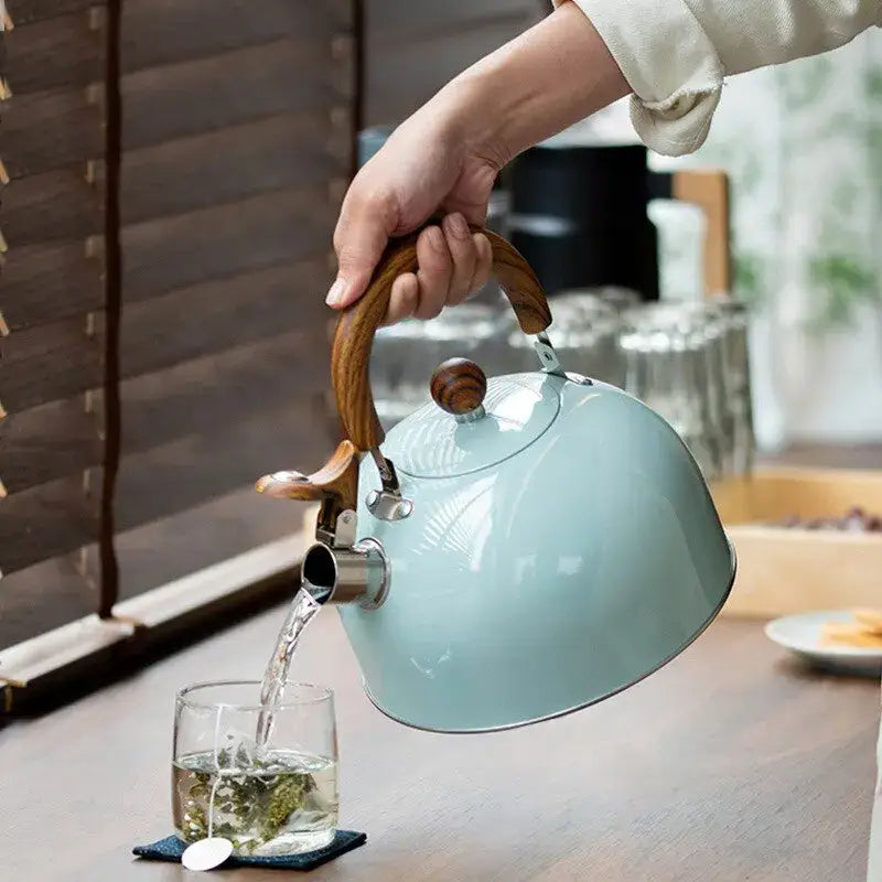 Large stainless steel teapot for tea and coffee