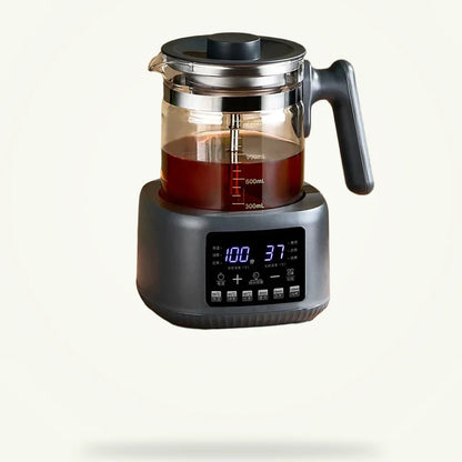 Steam Tea Brewer, Automatic Glass, product photo on a plain background