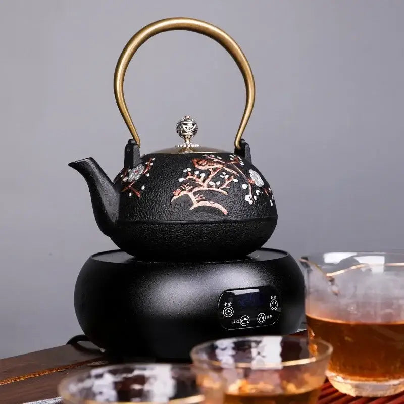 Cast iron teapot with stainless steel infuser